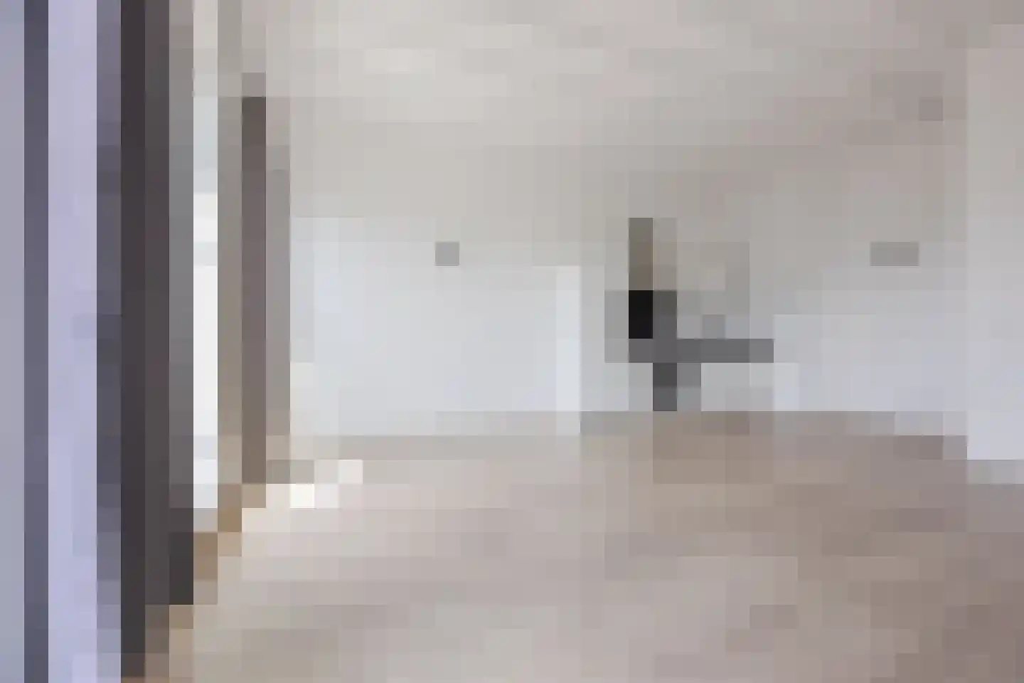 Binckhorstlaan 311 R Den Haag thumbnail 17