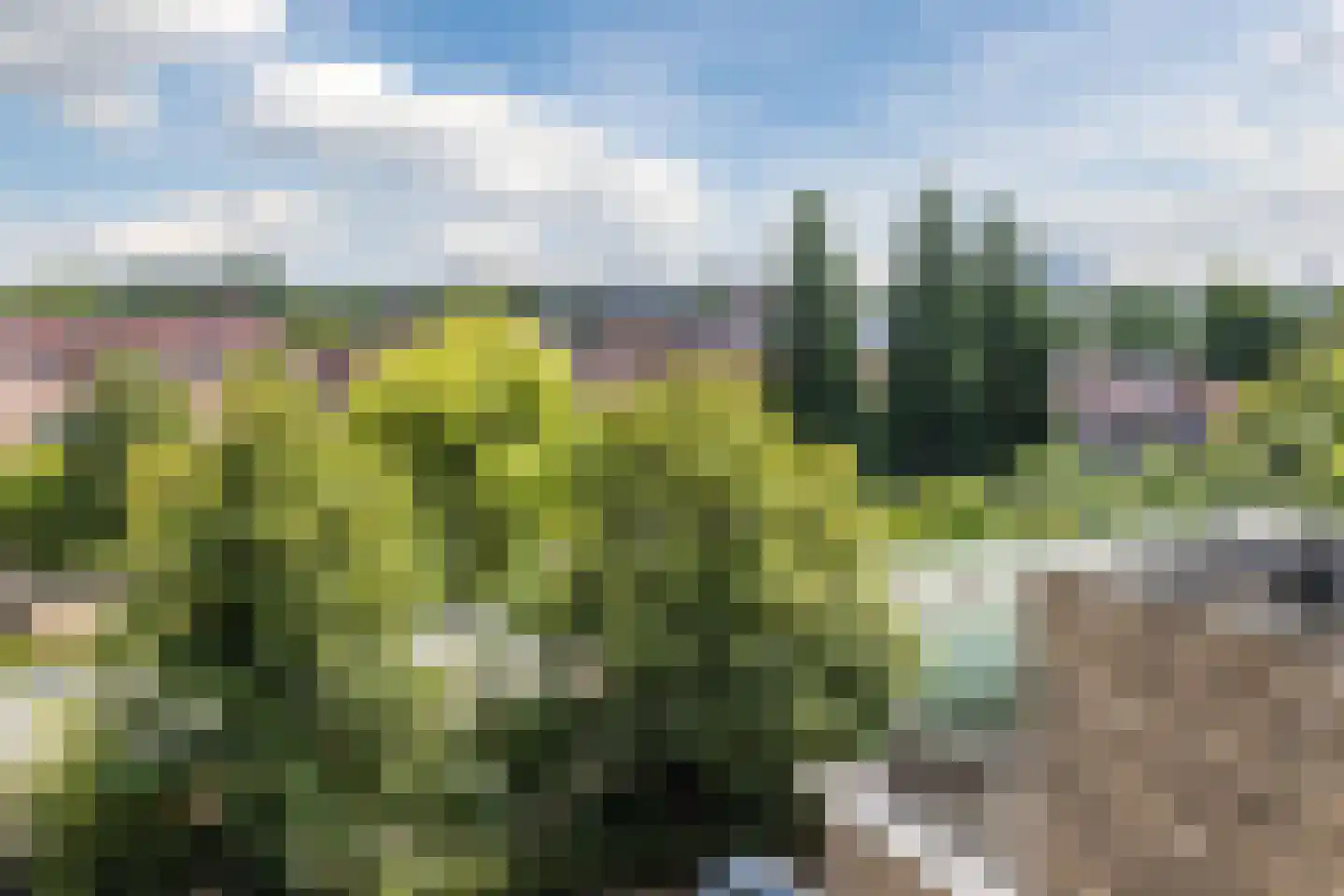 Binckhorstlaan 311 R Den Haag thumbnail 23