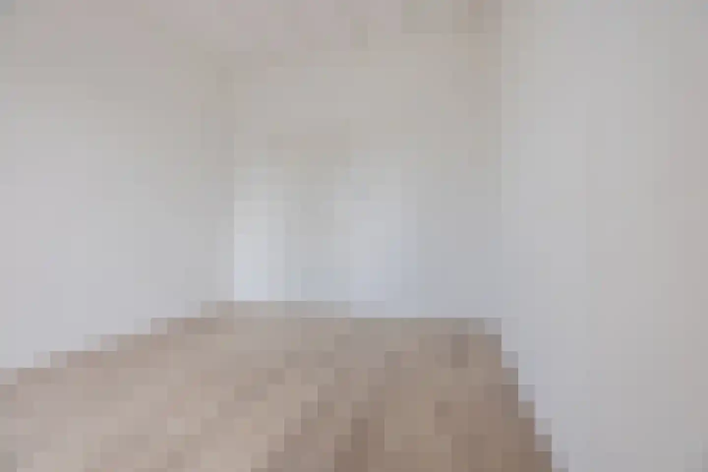 Binckhorstlaan 311 R Den Haag thumbnail 26