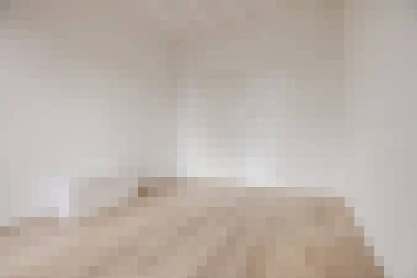 Binckhorstlaan 311 R Den Haag thumbnail 29