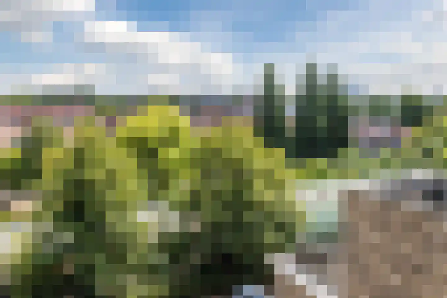 Binckhorstlaan 311 R Den Haag thumbnail 33