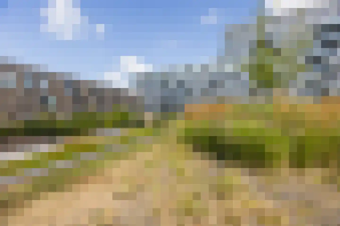 Binckhorstlaan 311 R Den Haag thumbnail 38