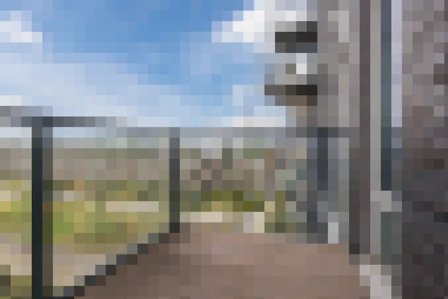 Binckhorstlaan 311 R Den Haag thumbnail 6