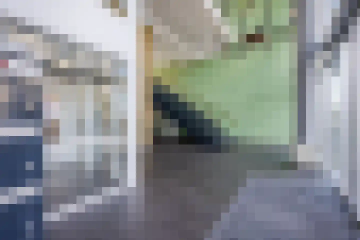 Binckhorstlaan 311 R Den Haag thumbnail 9