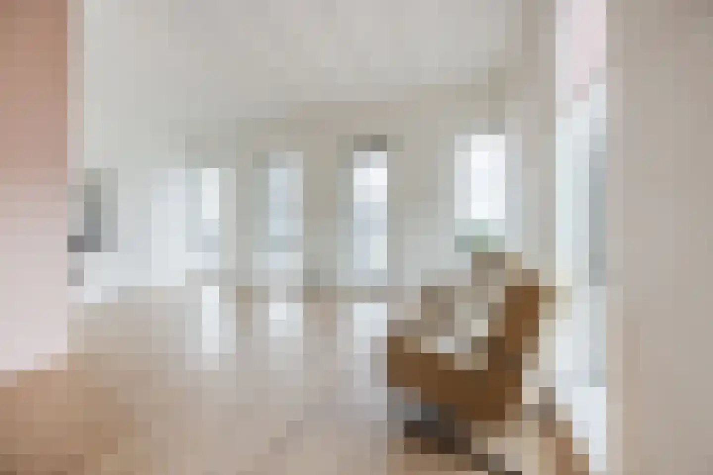 Binckhorstlaan 311 S Den Haag thumbnail 12