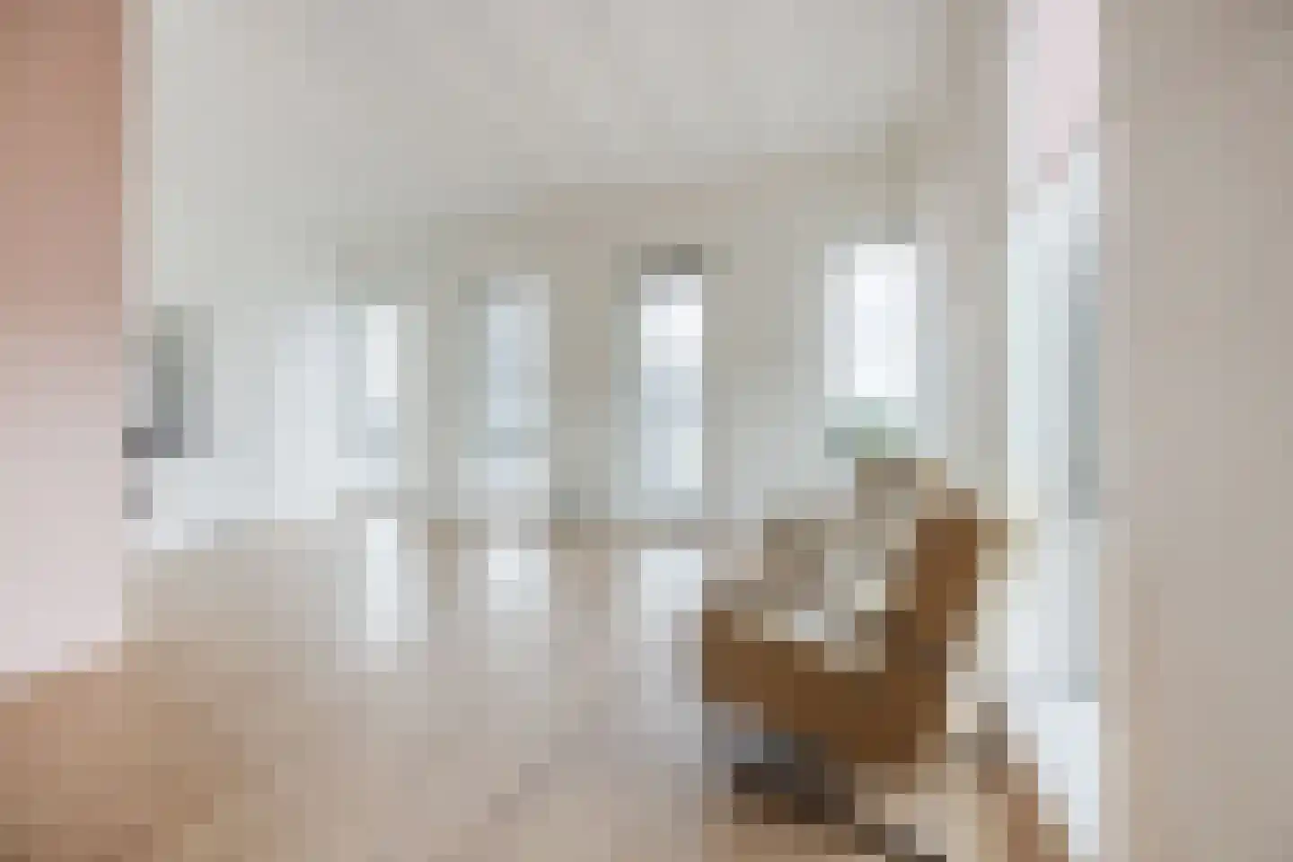 Binckhorstlaan 311 S Den Haag thumbnail 12