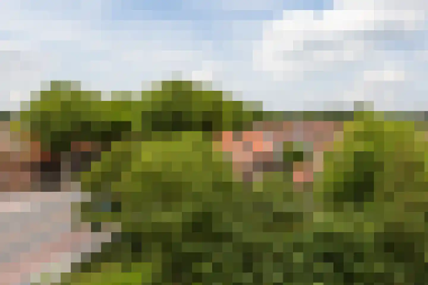 Binckhorstlaan 311 S Den Haag thumbnail 16