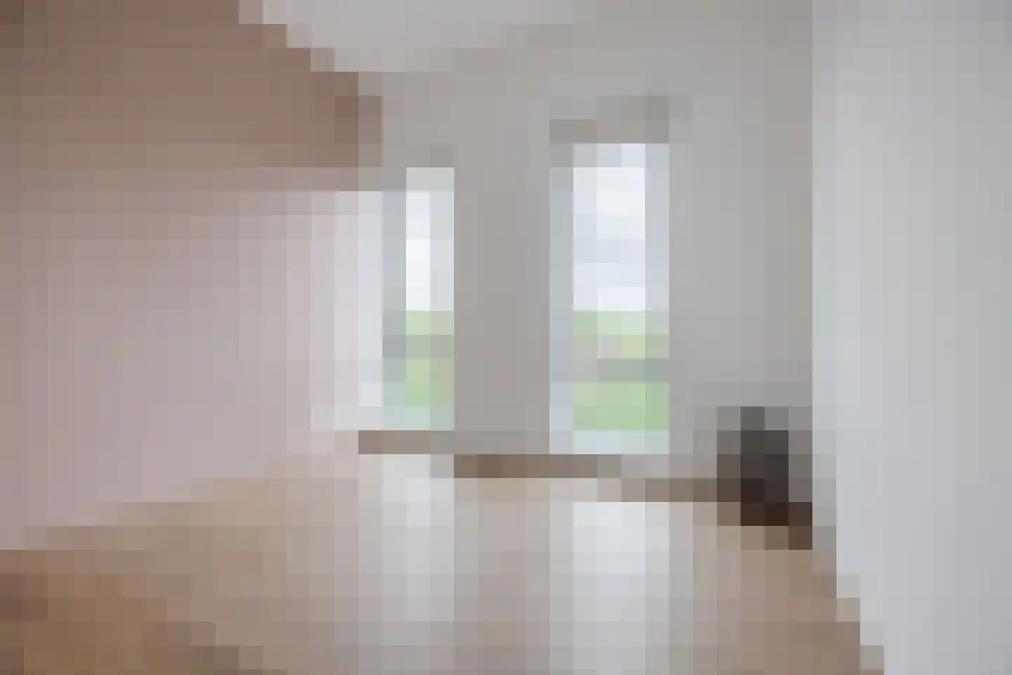 Binckhorstlaan 311 S Den Haag thumbnail 26