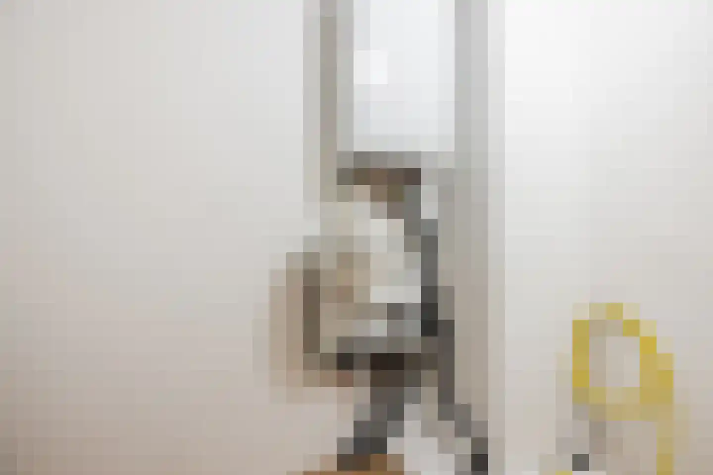 Binckhorstlaan 311 S Den Haag thumbnail 32
