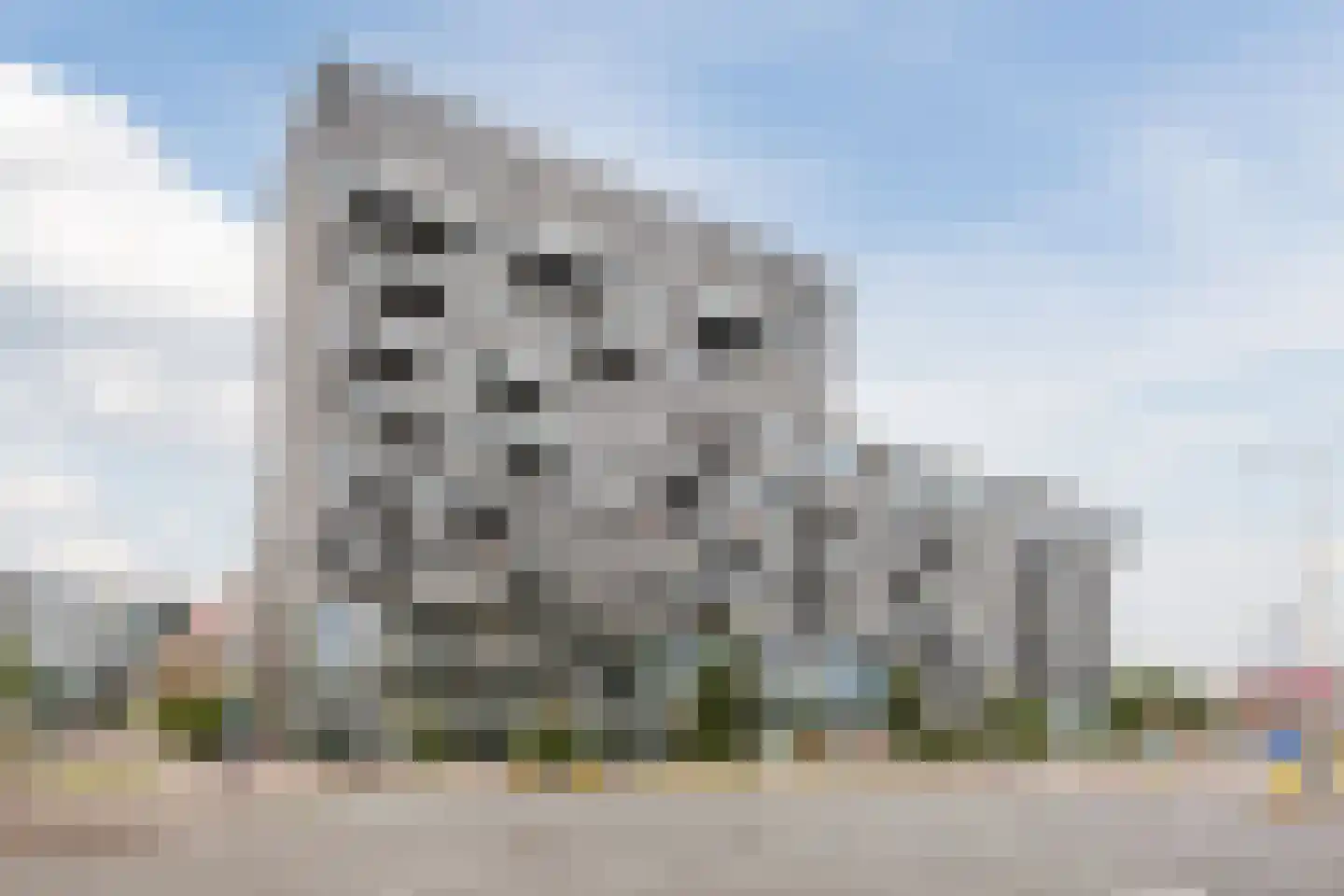 Binckhorstlaan 311 S Den Haag thumbnail 4