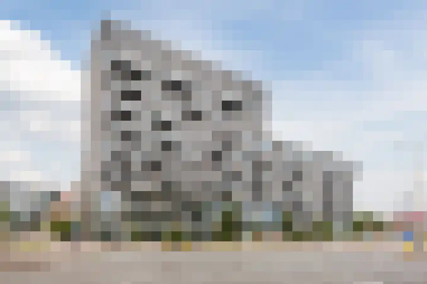 Binckhorstlaan 311 S Den Haag thumbnail 4