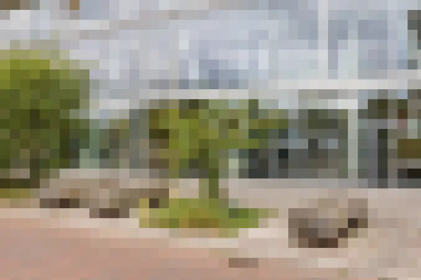 Binckhorstlaan 311 S Den Haag thumbnail 7