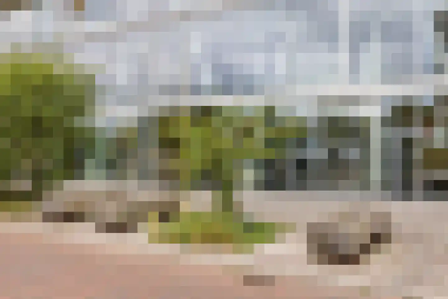 Binckhorstlaan 311 S Den Haag thumbnail 7