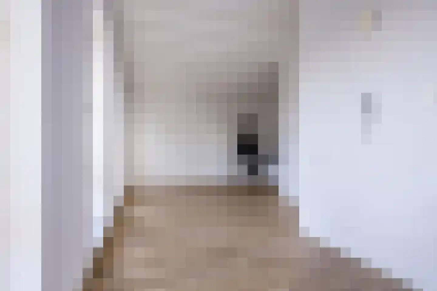 Binckhorstlaan 311 T Den Haag thumbnail 16