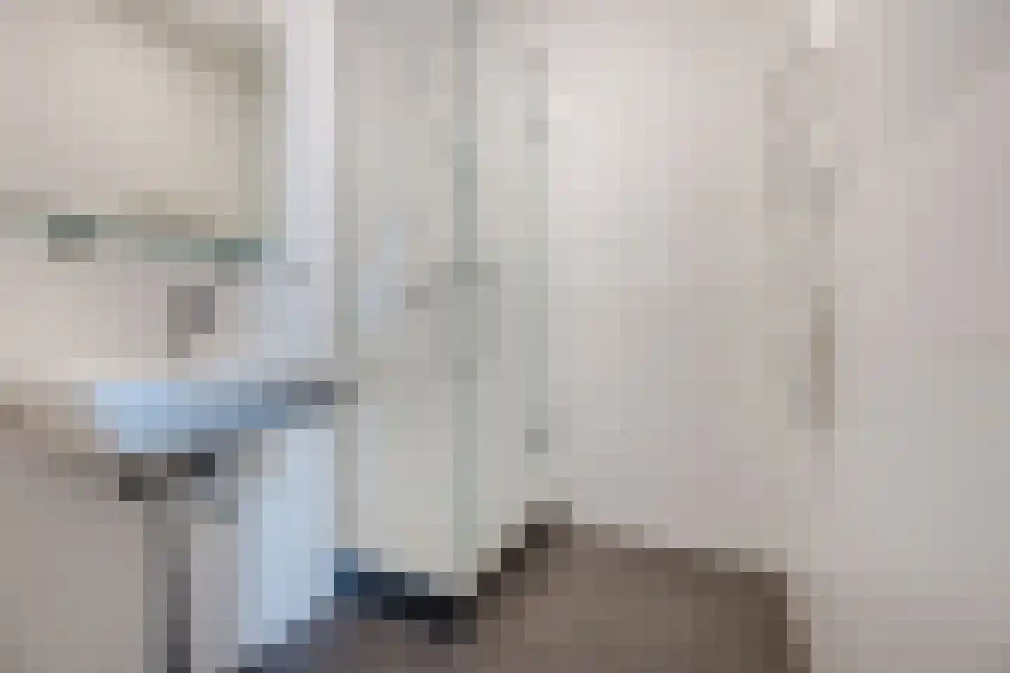 Binckhorstlaan 311 T Den Haag thumbnail 22