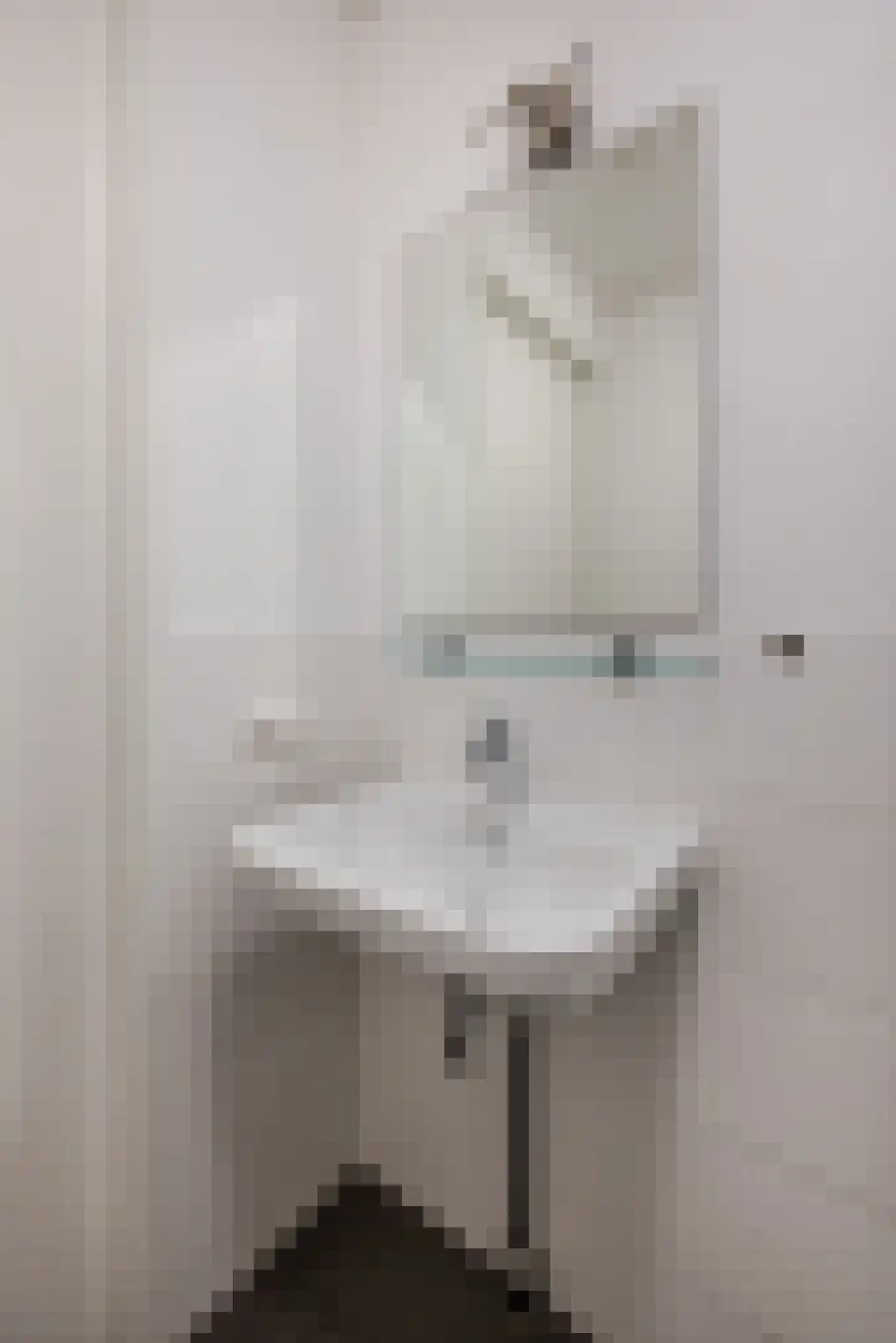 Binckhorstlaan 311 T Den Haag thumbnail 27