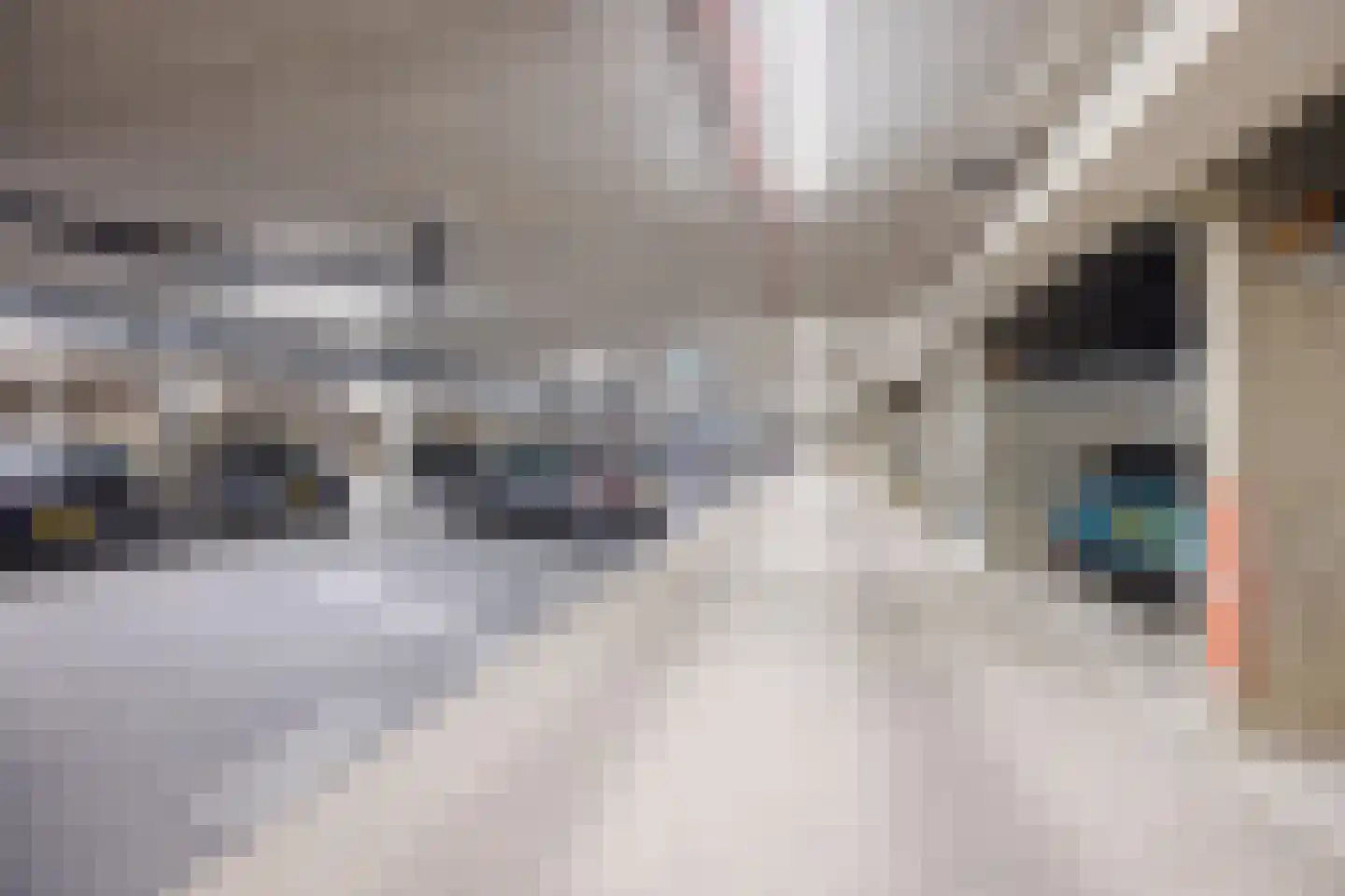 Binckhorstlaan 311 T Den Haag thumbnail 34