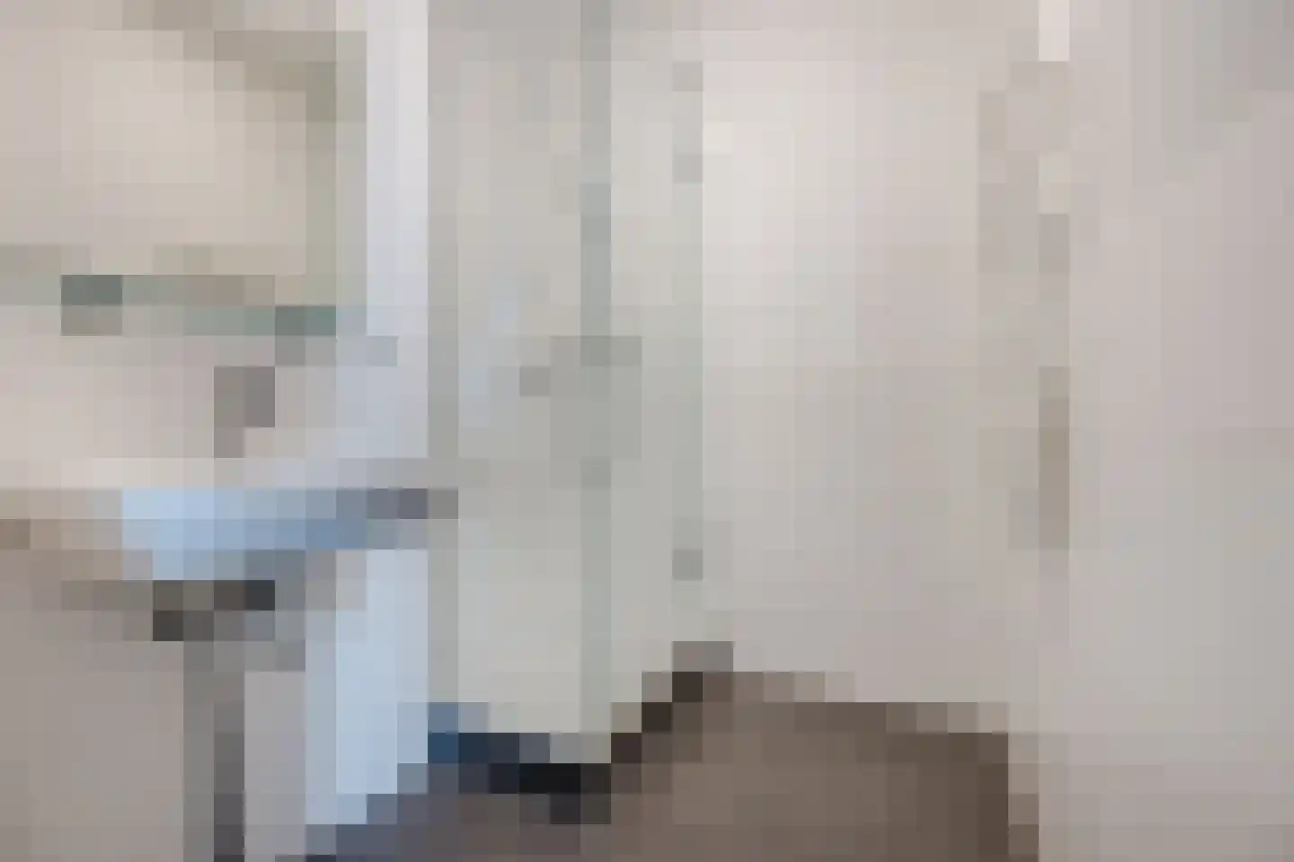 Binckhorstlaan 311 T Den Haag thumbnail 4