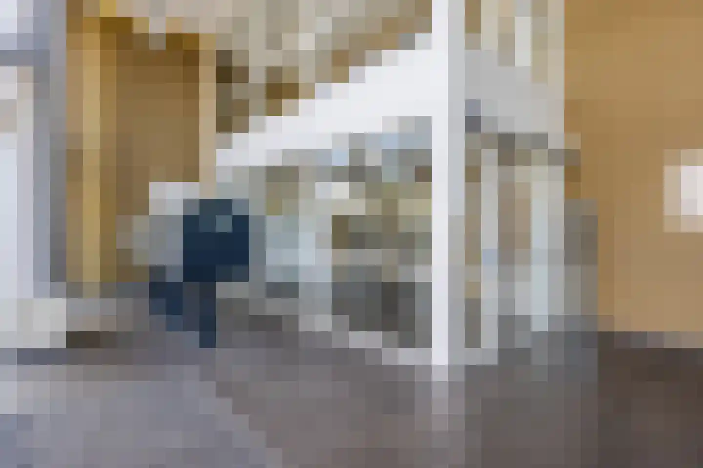 Binckhorstlaan 311 T Den Haag thumbnail 7
