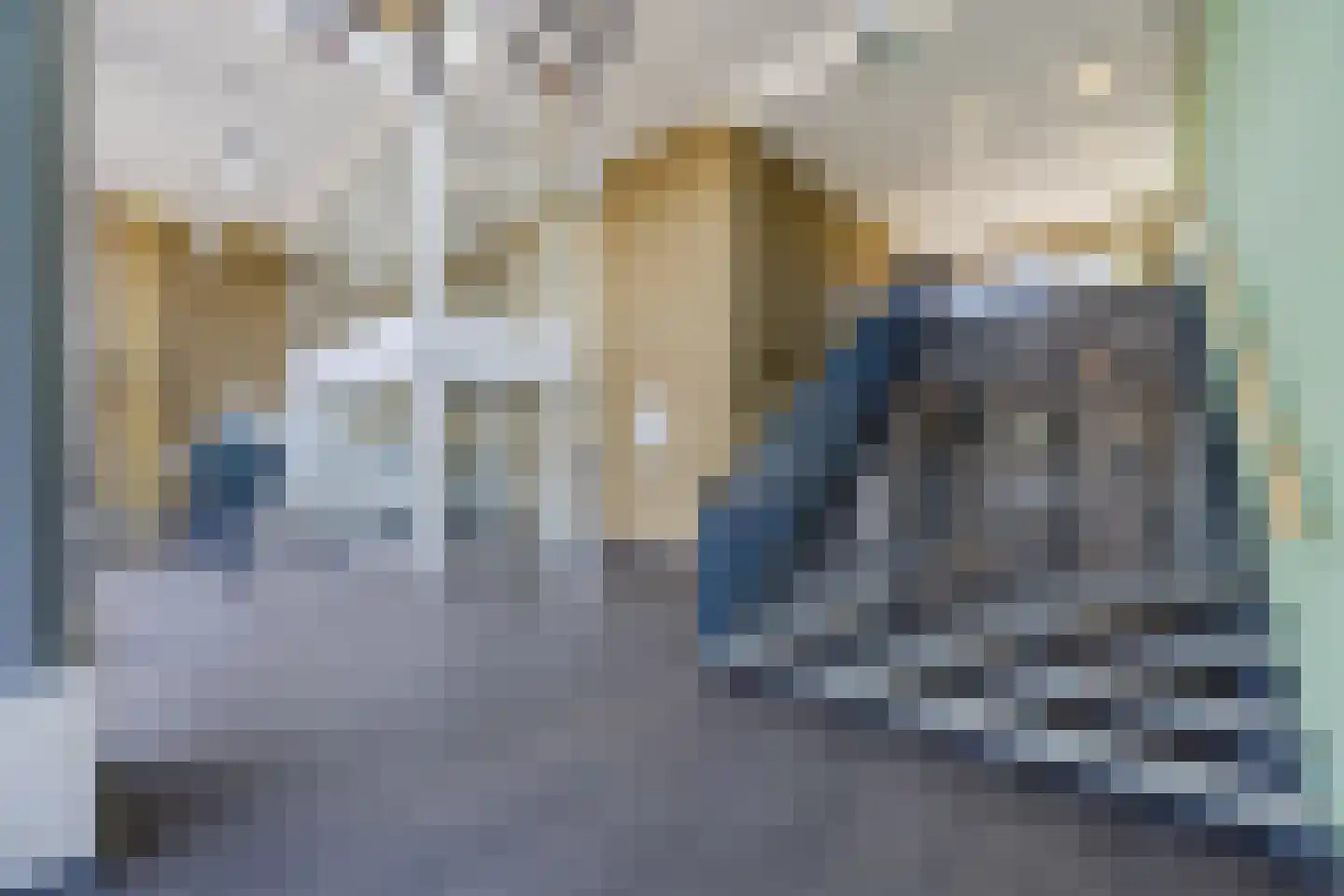 Binckhorstlaan 311 T Den Haag thumbnail 8