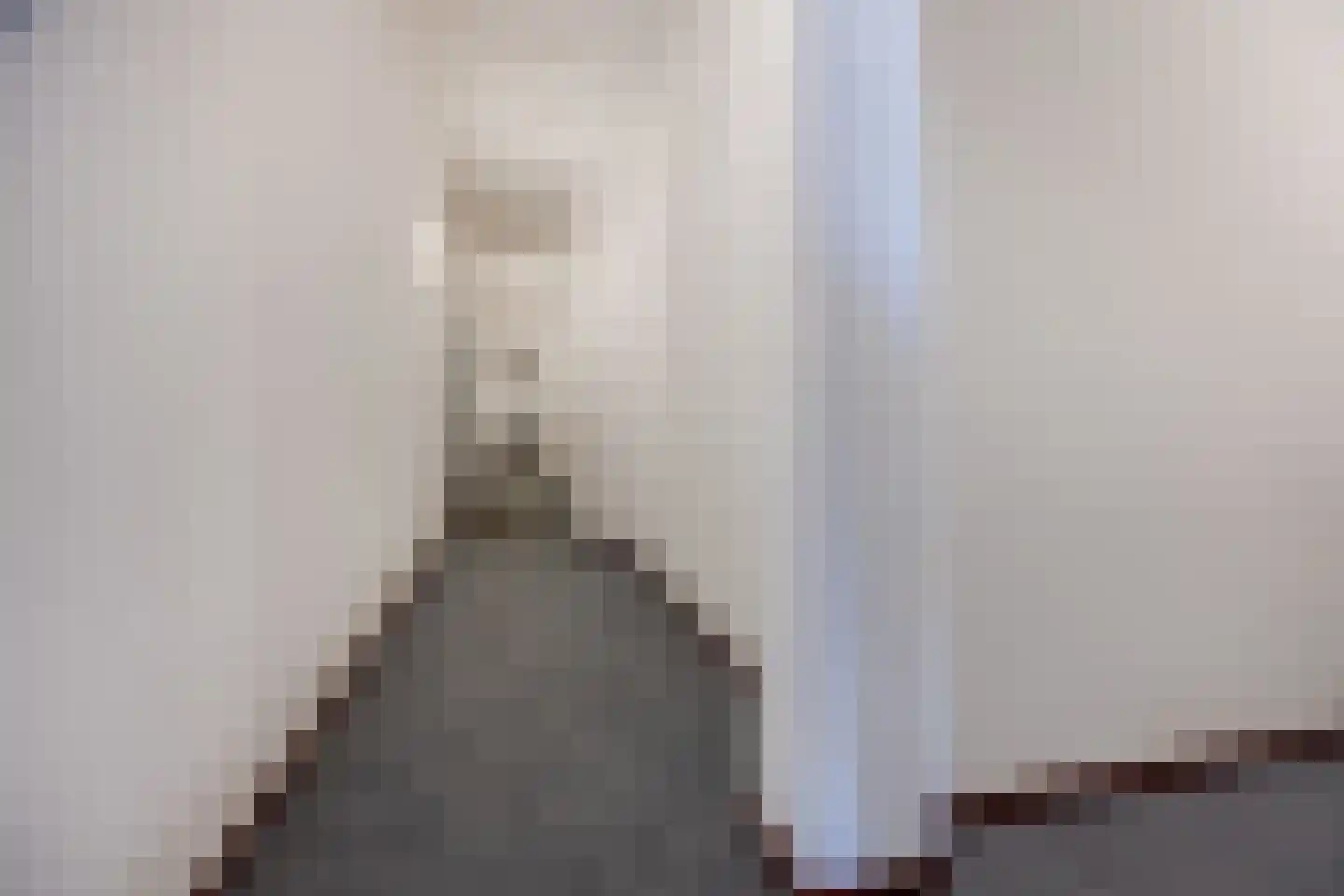 Binckhorstlaan 311 X Den Haag thumbnail 13