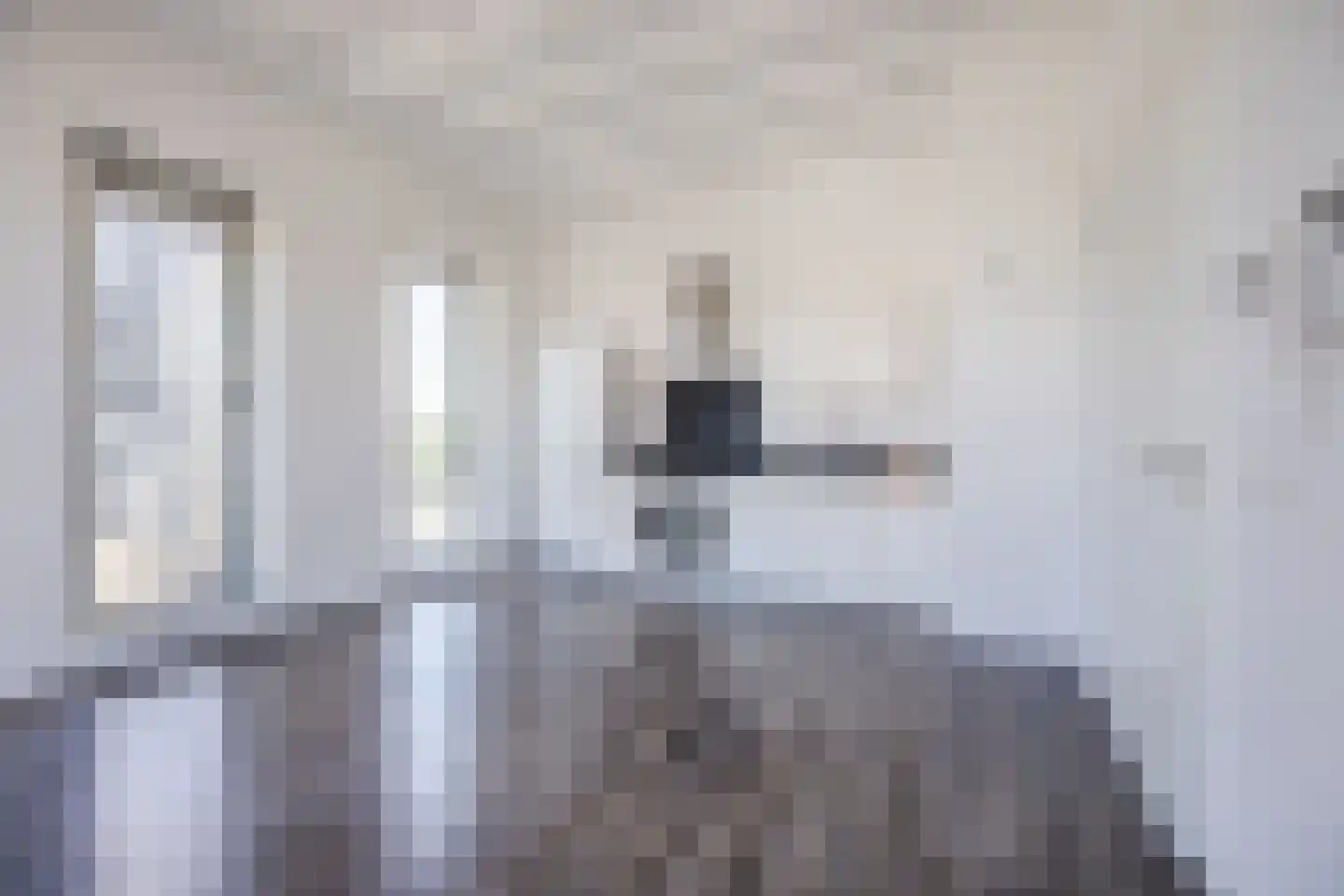 Binckhorstlaan 311 X Den Haag thumbnail 24
