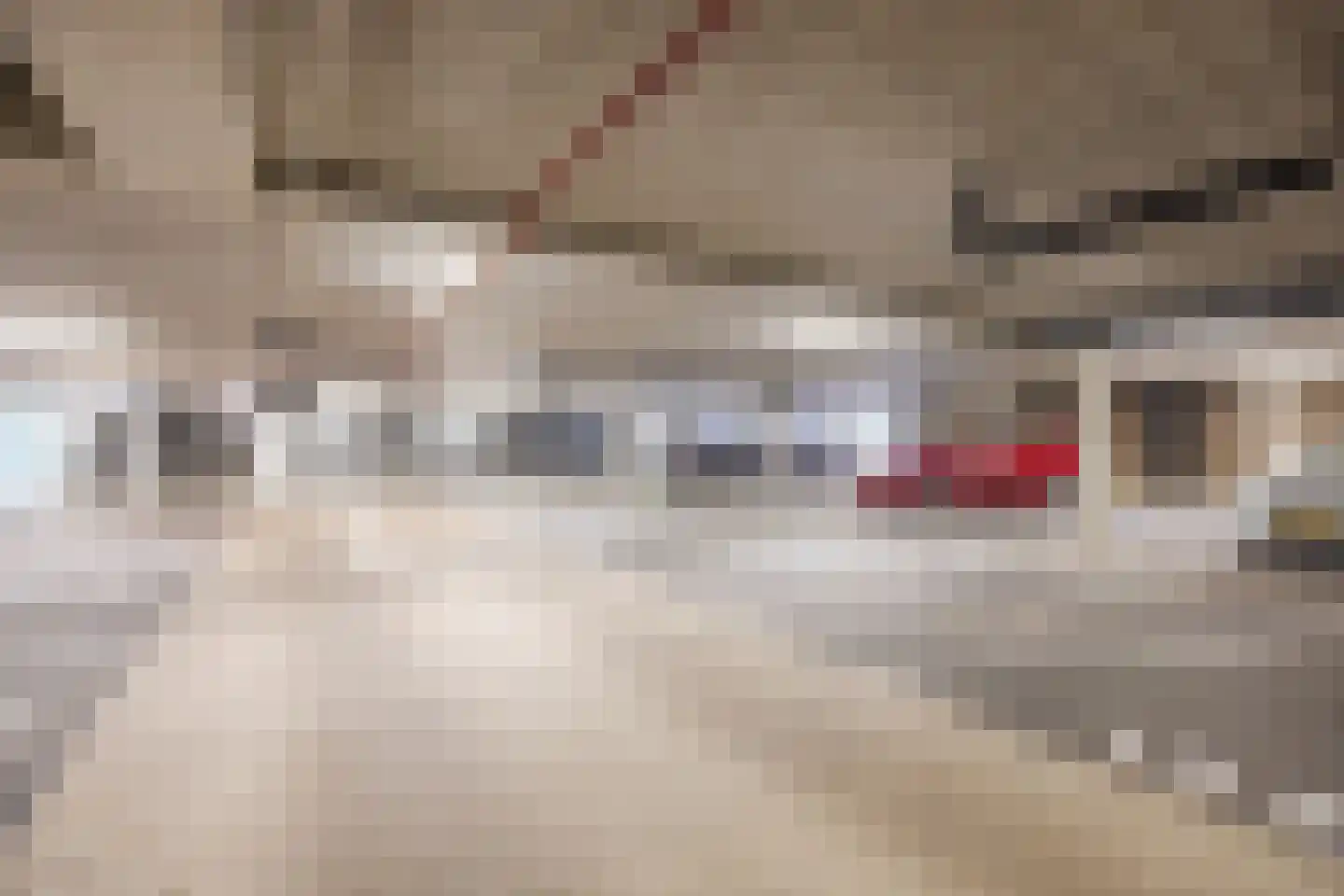 Binckhorstlaan 311 X Den Haag thumbnail 36