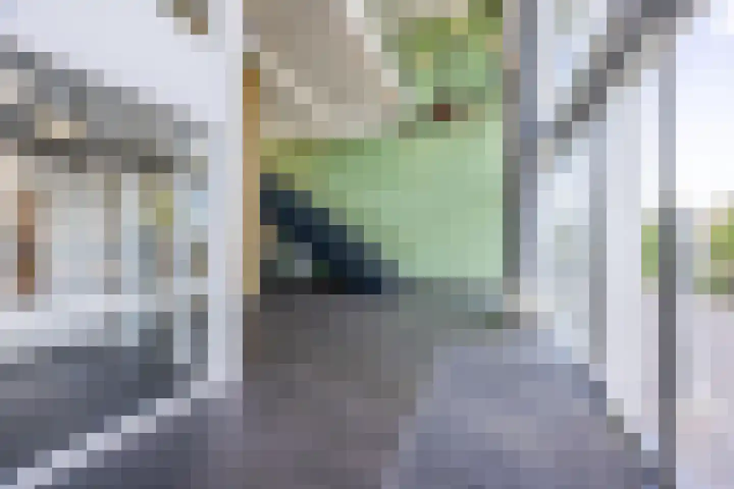Binckhorstlaan 311 Y Den Haag thumbnail 12