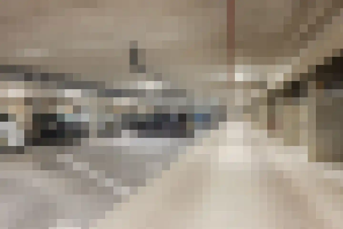 Binckhorstlaan 311 Y Den Haag thumbnail 20