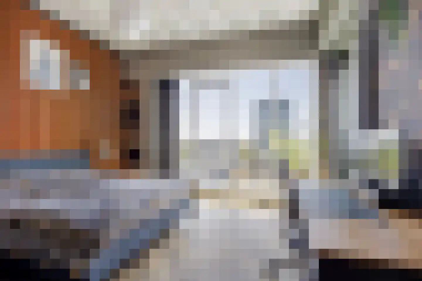 Binckhorstlaan 313 B Den Haag thumbnail 17