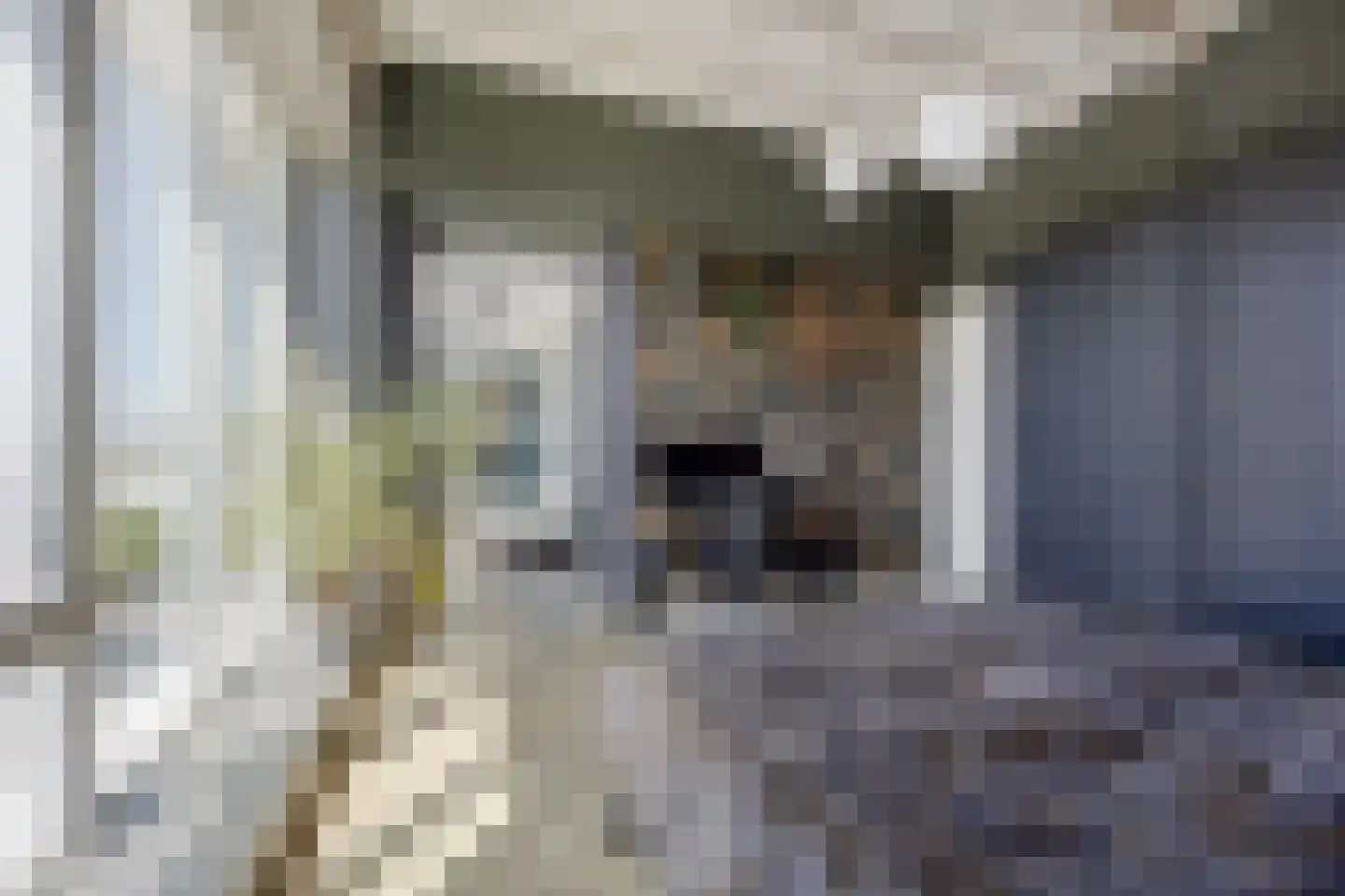 Binckhorstlaan 313 B Den Haag thumbnail 18
