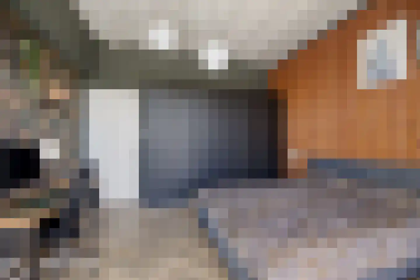 Binckhorstlaan 313 B Den Haag thumbnail 19