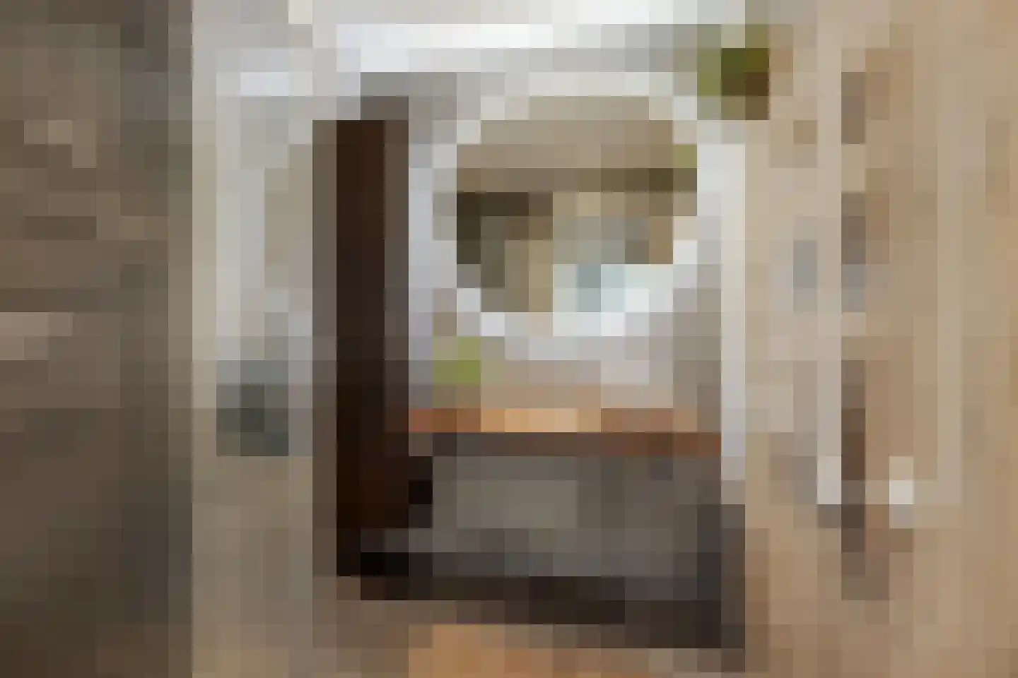 Binckhorstlaan 313 B Den Haag thumbnail 21