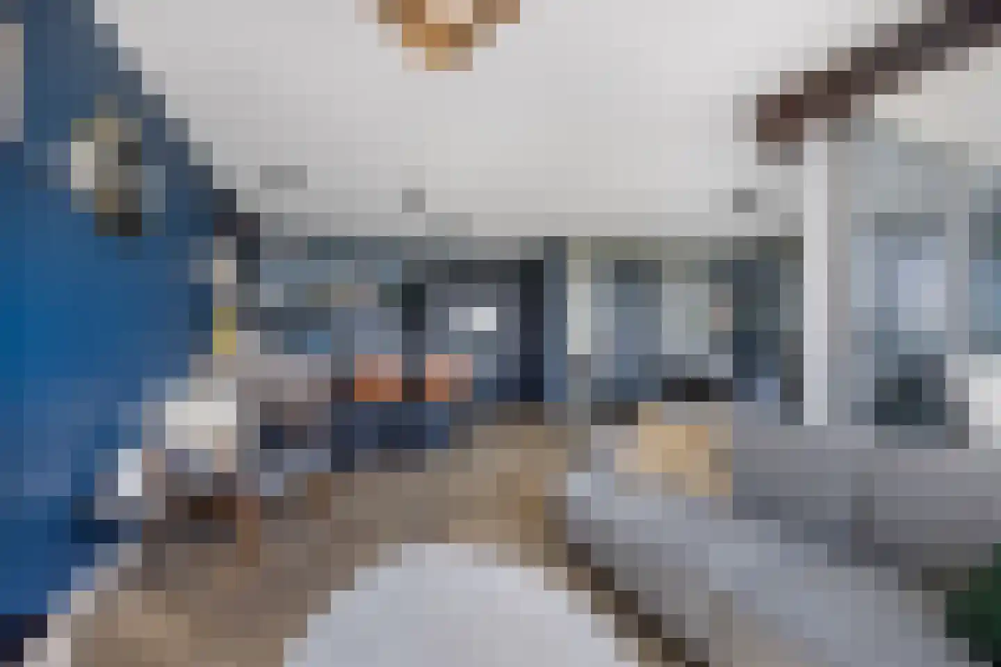 Binckhorstlaan 313 B Den Haag thumbnail 7