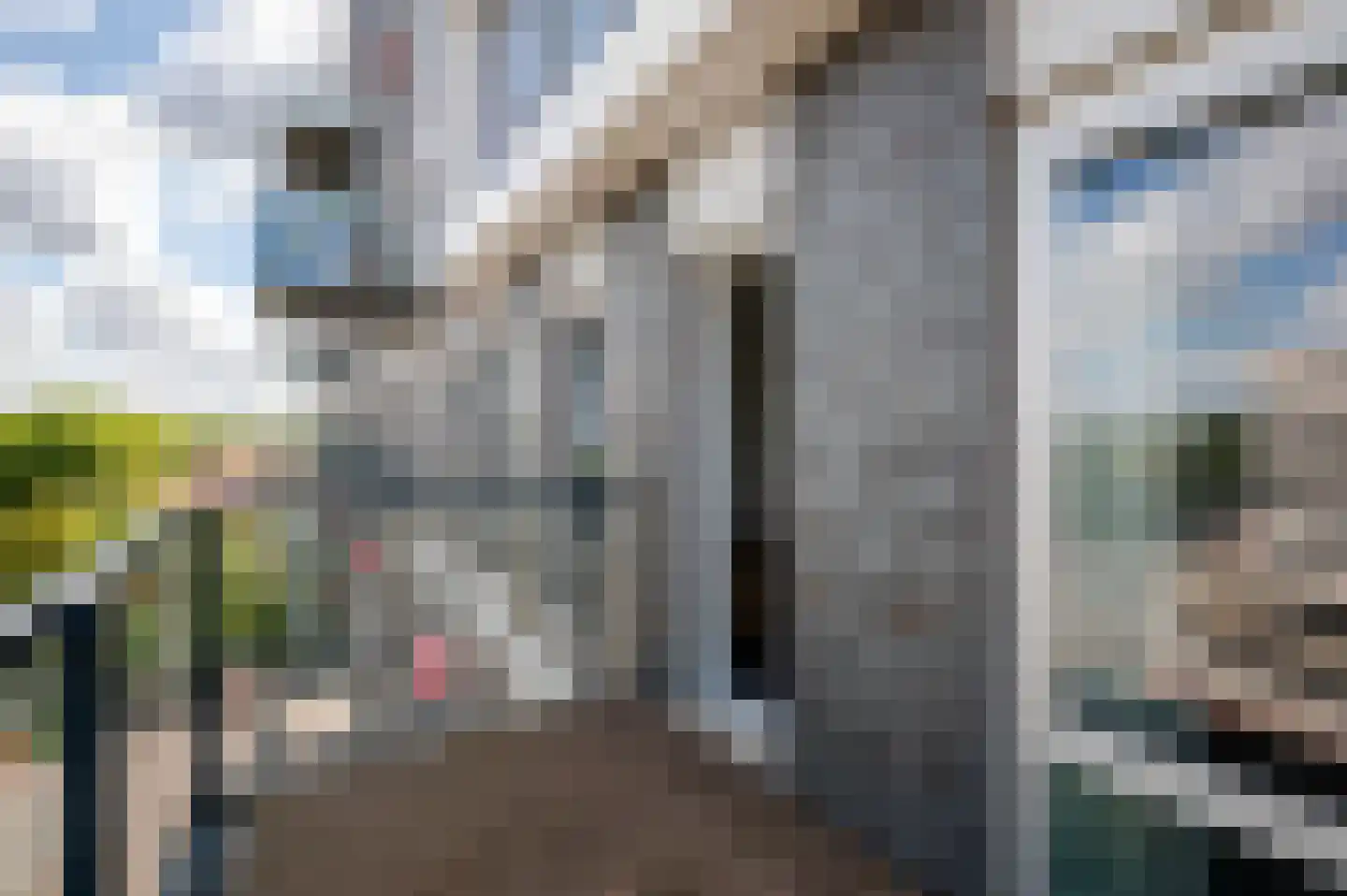 Binckhorstlaan 313 H Den Haag thumbnail 20