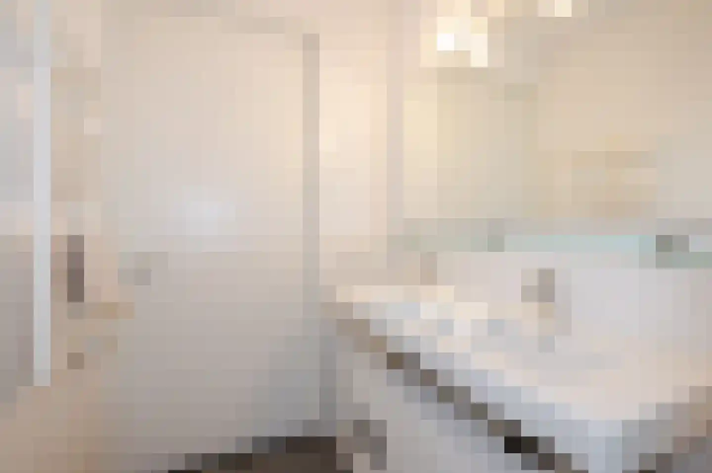 Binckhorstlaan 313 H Den Haag thumbnail 27