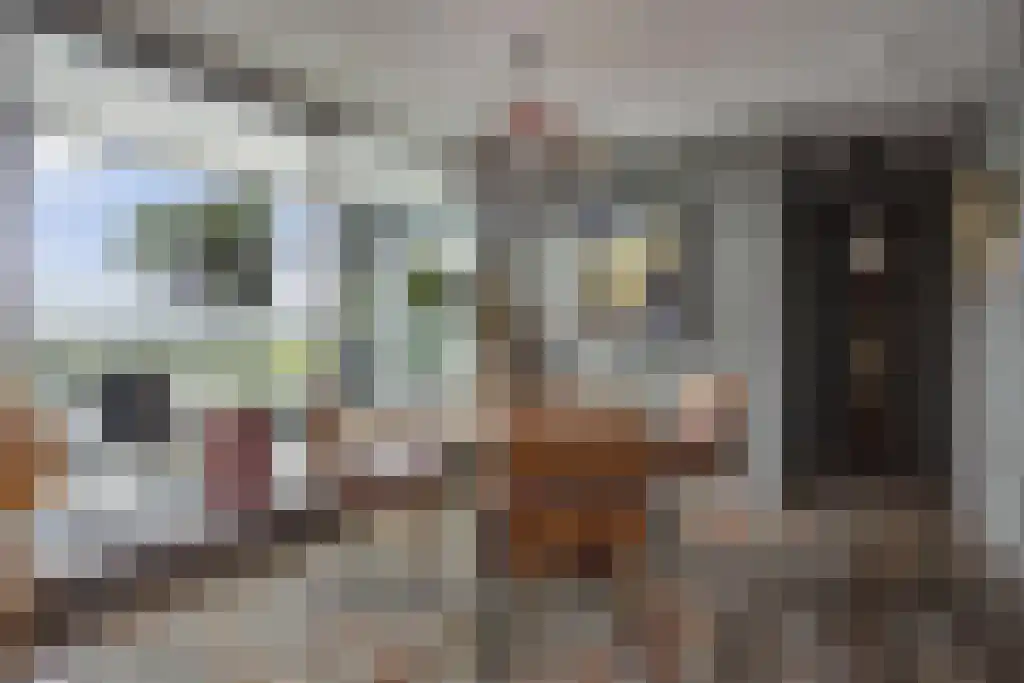 Binckhorstlaan 313 L Den Haag thumbnail 12