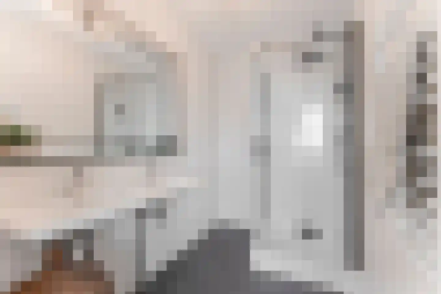 Binckhorstlaan 313 L Den Haag thumbnail 17