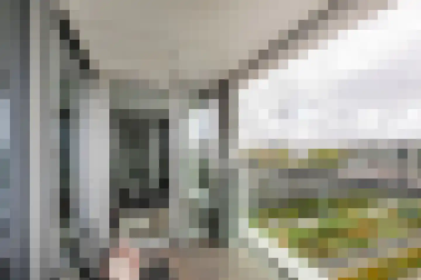 Binckhorstlaan 313 L Den Haag thumbnail 21