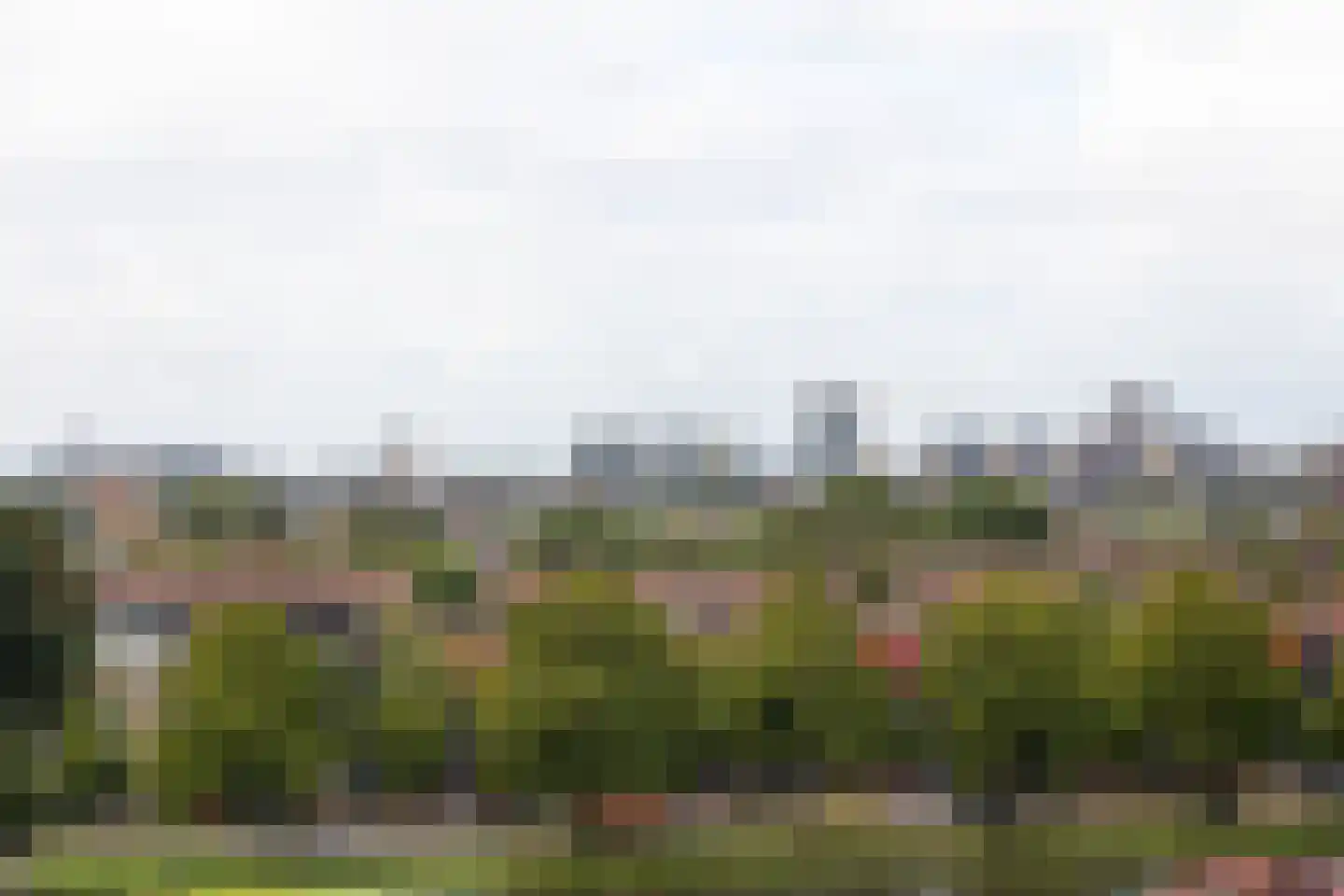 Binckhorstlaan 313 L Den Haag thumbnail 25