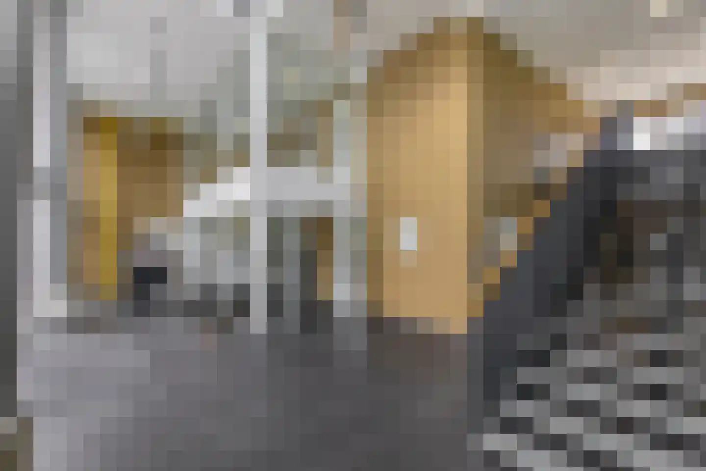 Binckhorstlaan 313 L Den Haag thumbnail 26