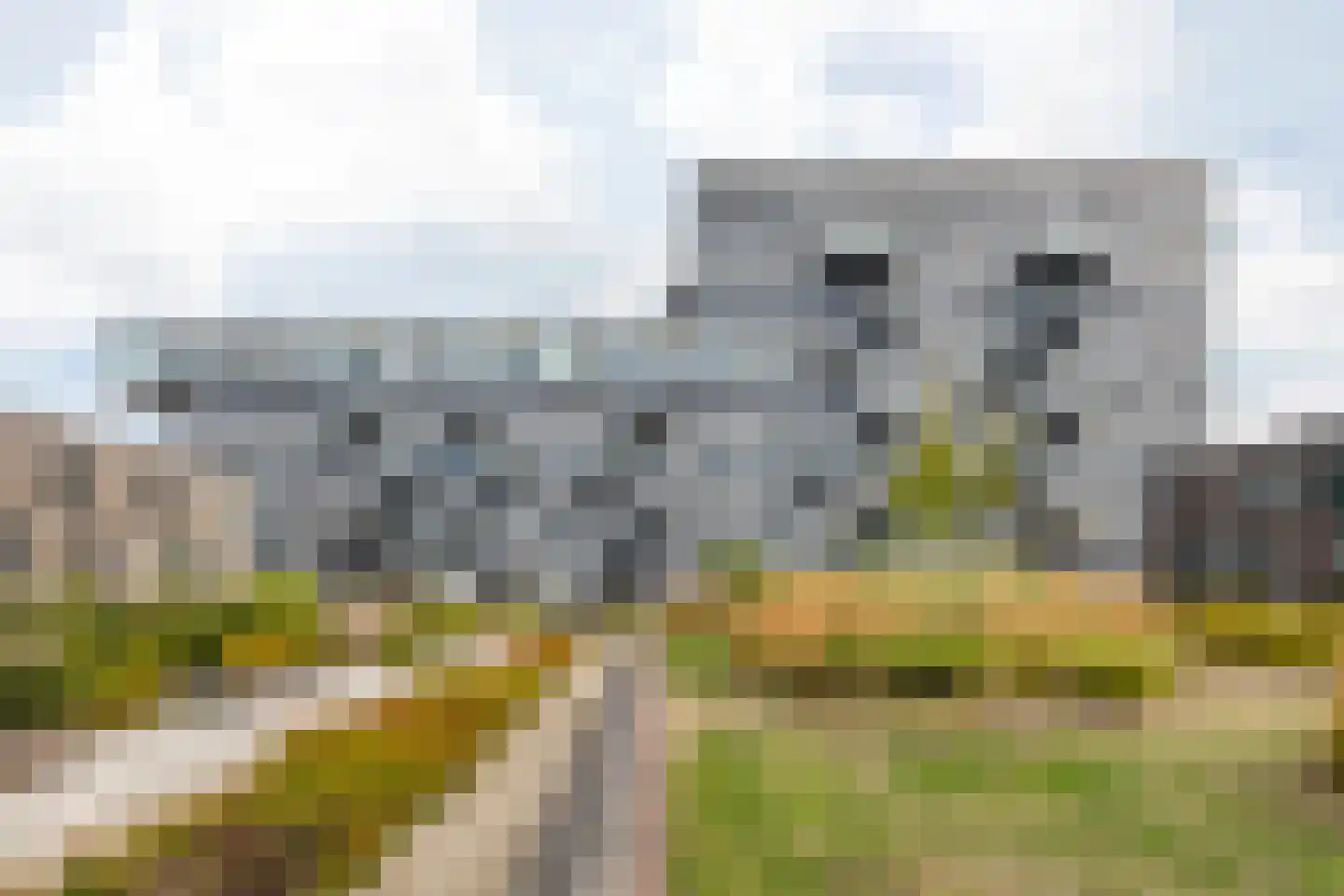 Binckhorstlaan 313 L Den Haag thumbnail 29