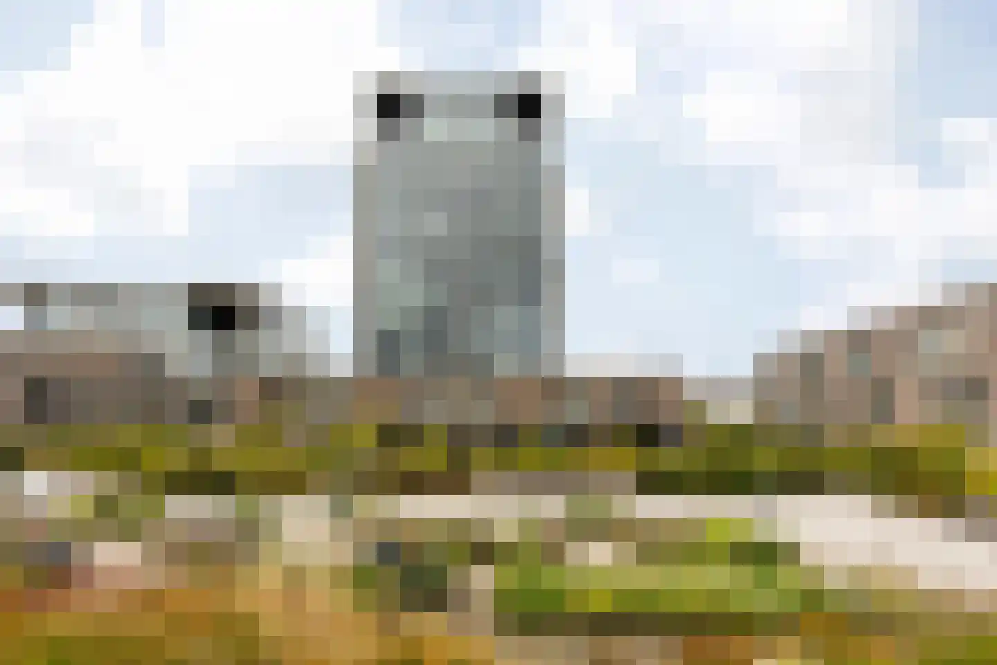 Binckhorstlaan 313 L Den Haag thumbnail 30
