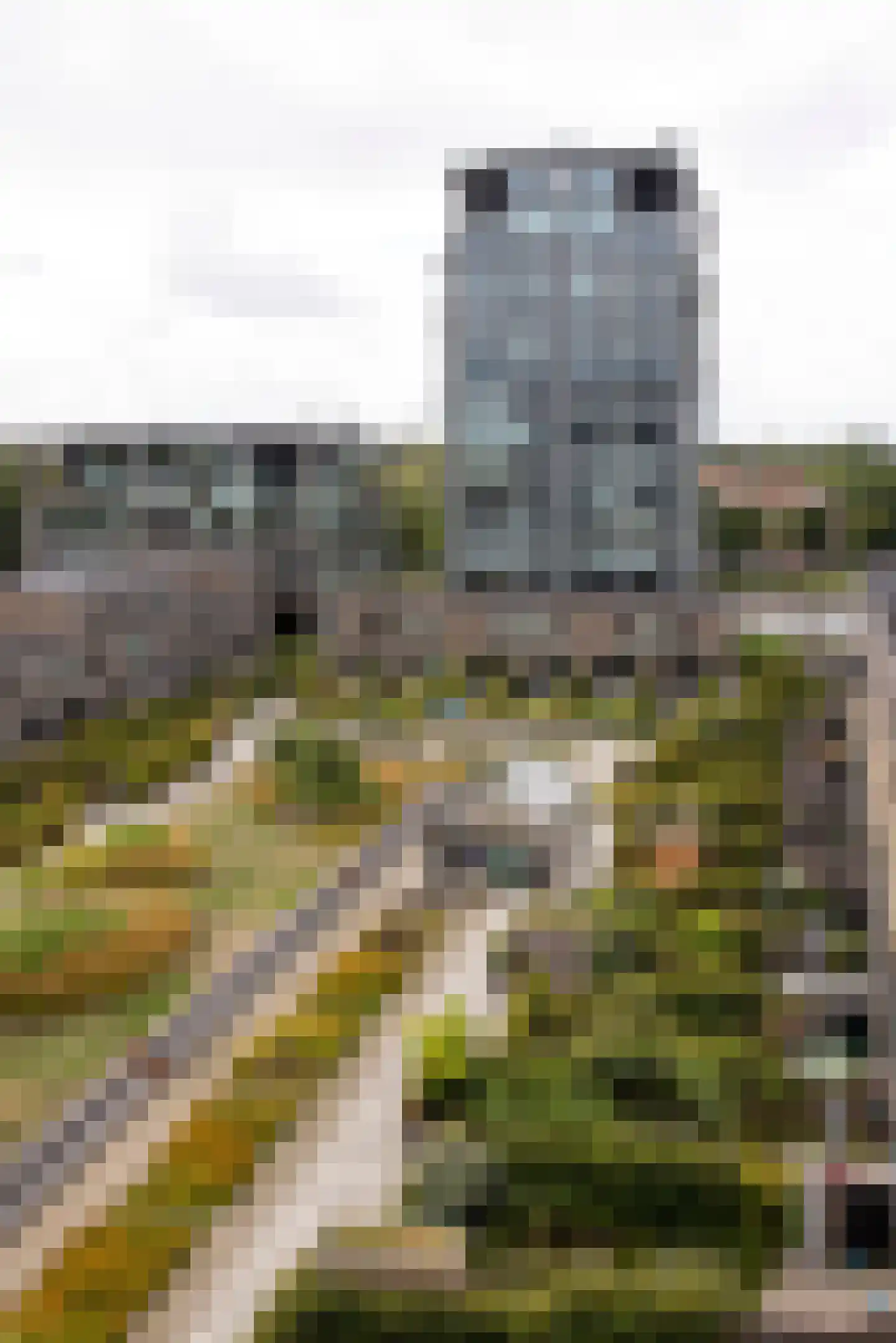Binckhorstlaan 313 L Den Haag thumbnail 36
