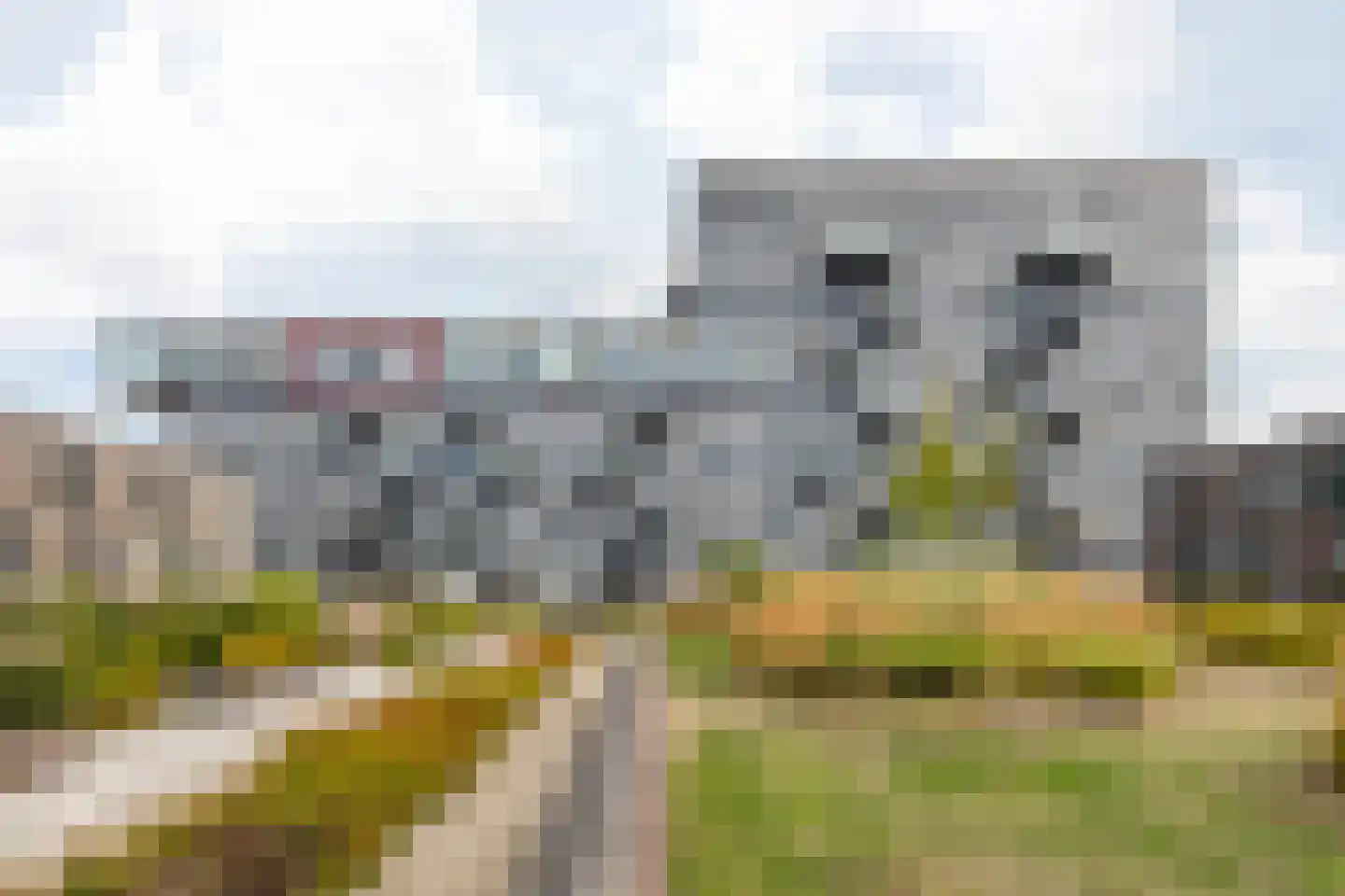 Binckhorstlaan 313 L Den Haag thumbnail 4