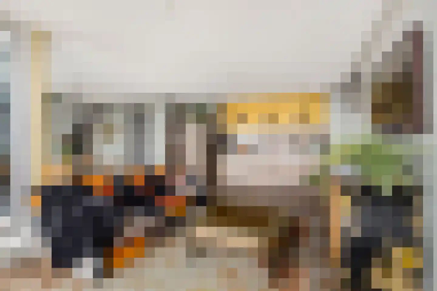 Binckhorstlaan 313 L Den Haag thumbnail 7