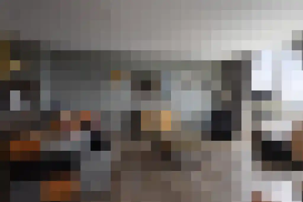 Binckhorstlaan 313 L Den Haag thumbnail 9
