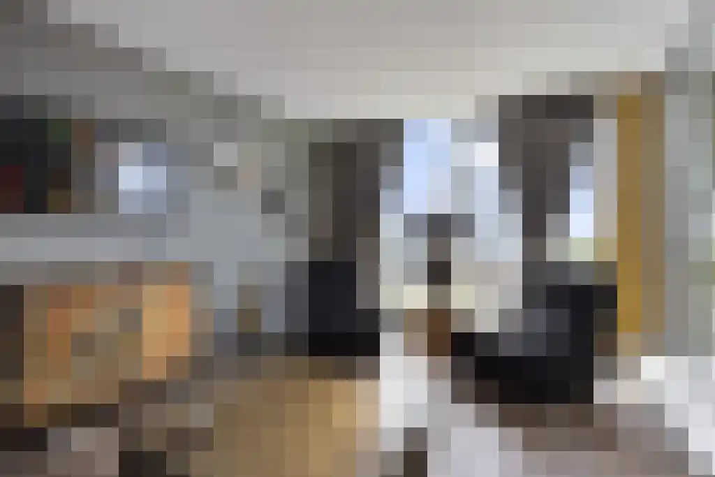Binckhorstlaan 313 Q Den Haag thumbnail 11
