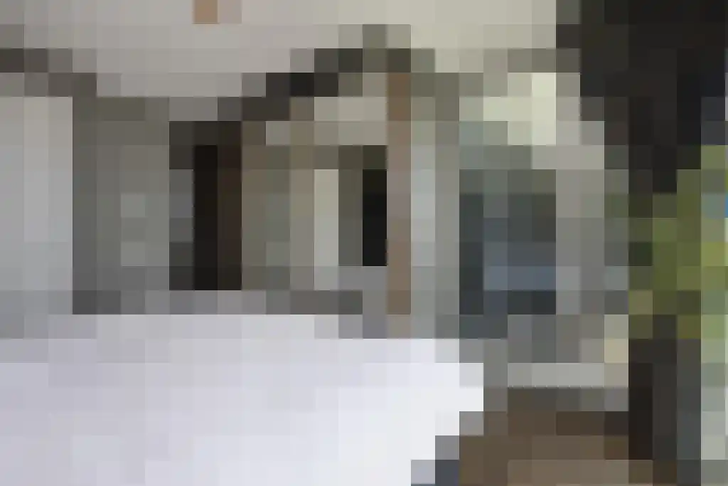 Binckhorstlaan 313 Q Den Haag thumbnail 18