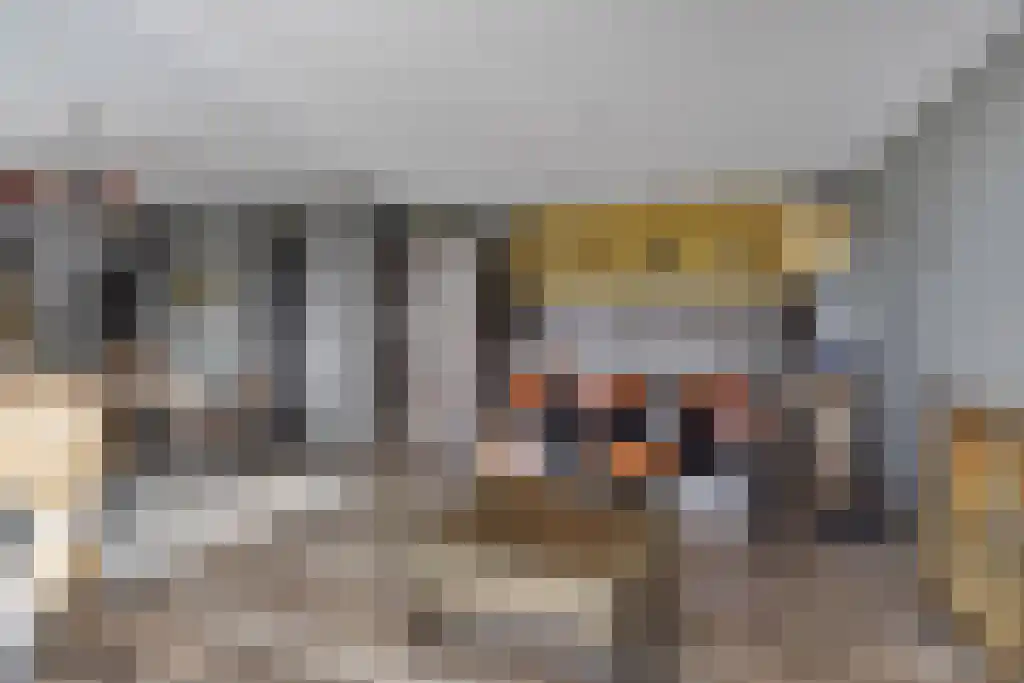 Binckhorstlaan 313 Q Den Haag thumbnail 4